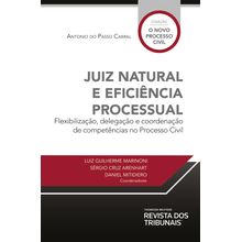 Juiz Natural E Eficiência Processual